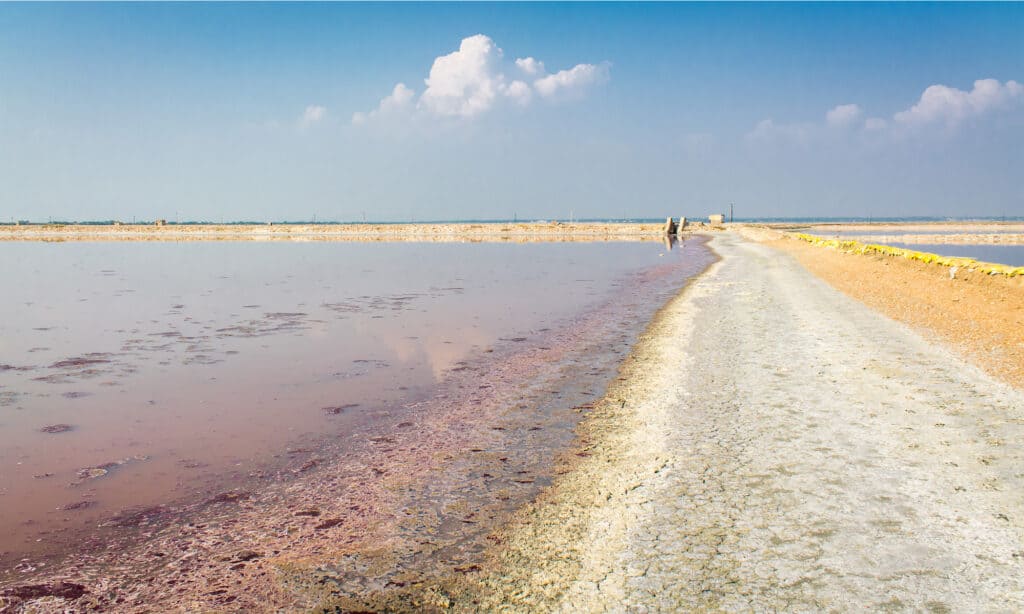 Sambhar Salt Lake