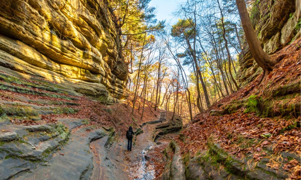 starved rock state park