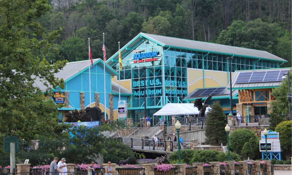 Ripley's Aquarium in the Smokies