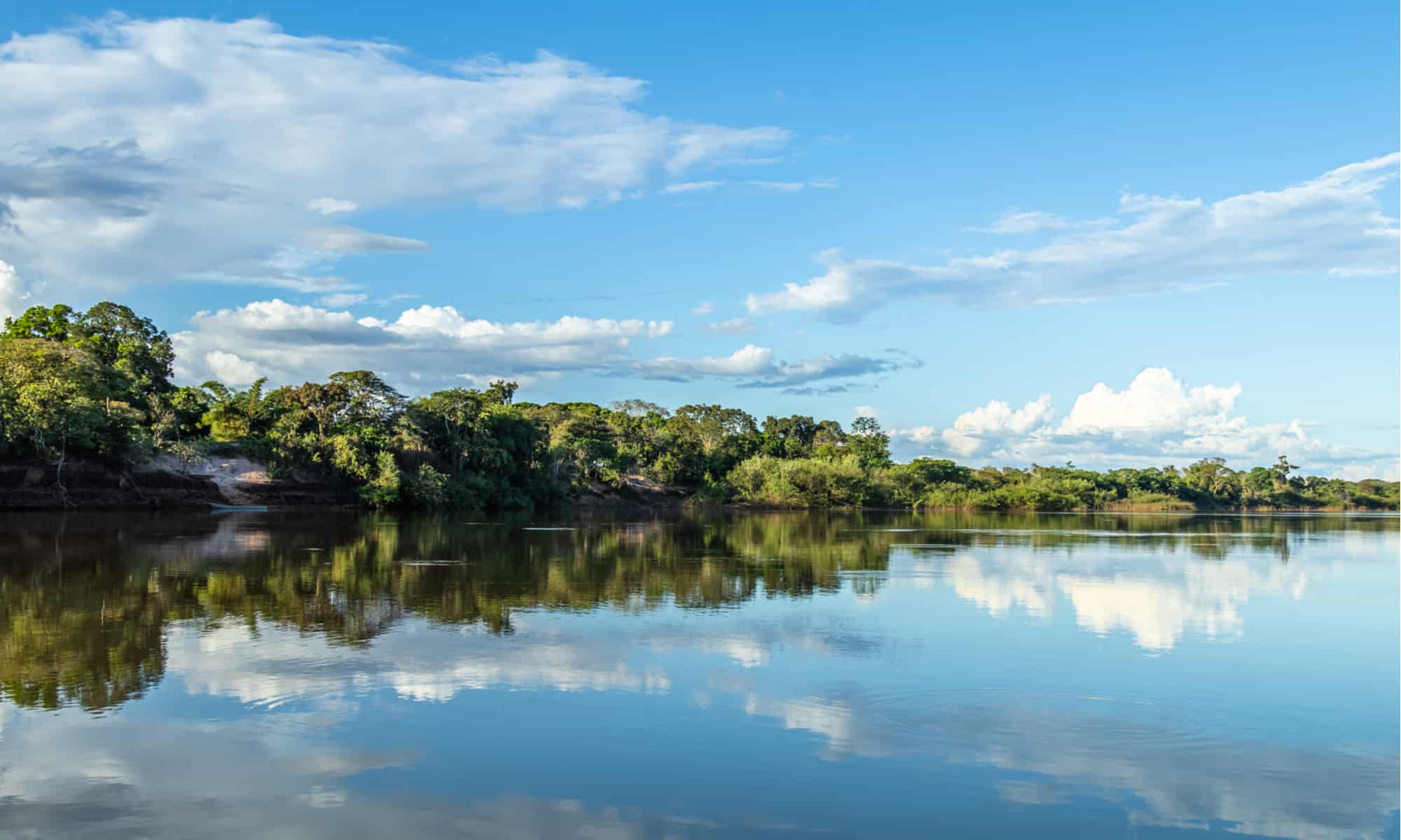 The 10 Longest Rivers in South America - A-Z Animals