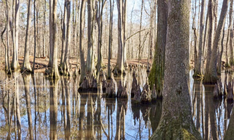 Natchez National Historical Park