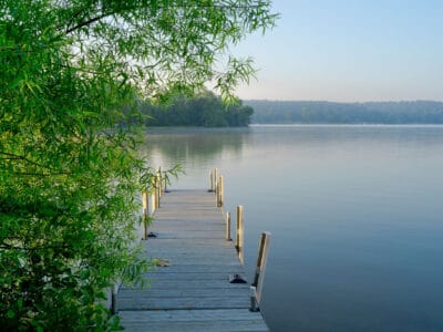 A The Most Snake-Infested Lakes in Ohio