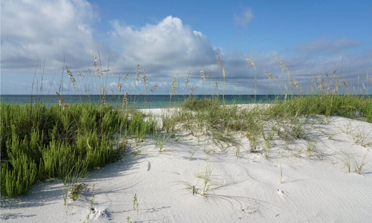 Gulf Islands National Seashore