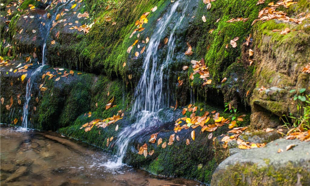 Dunnfield Creek Falls