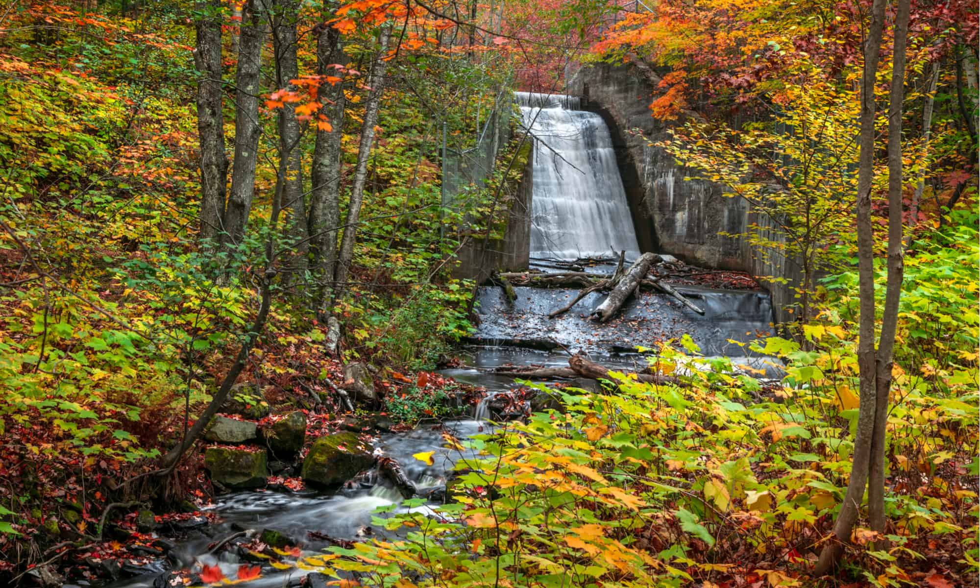 10 Awe-Inspiring Waterfalls in Michigan - A-Z Animals