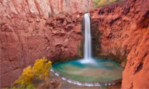 Discover Mooney Falls — The Epic, Towering Waterfall Near the Grand Canyon Picture
