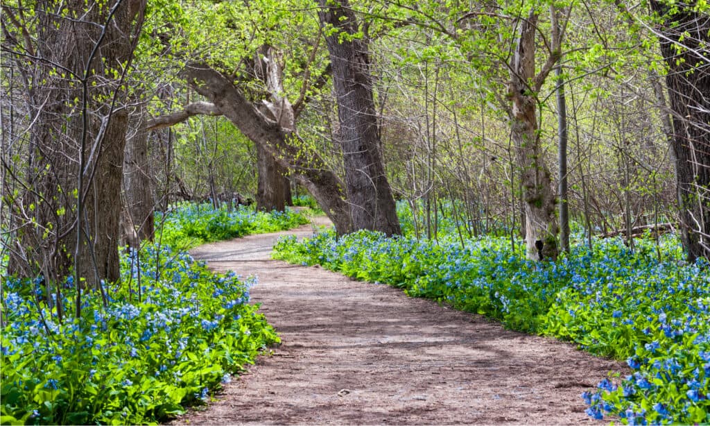 Potomac Heritage National Scenic Trail