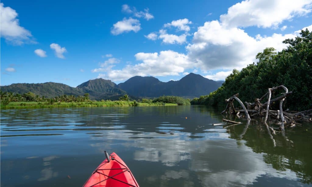 Prettiest Rivers in the United States - Hanalei