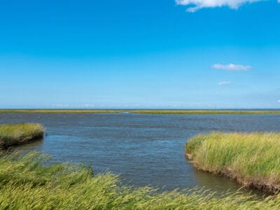 A River vs Estuary: What’s the Difference?