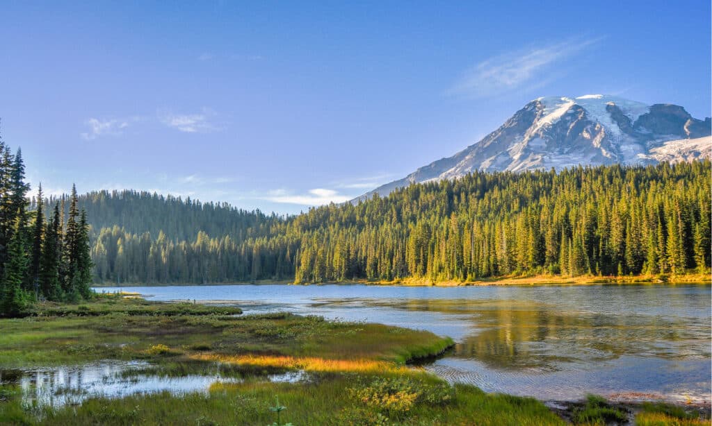 Best National Parks to Visit in October - Mount Rainier National Park