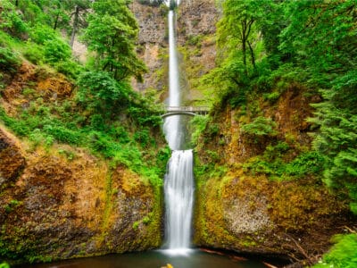 A The Tallest Waterfall in Oregon Has a Picturesque 620-Foot Plunge