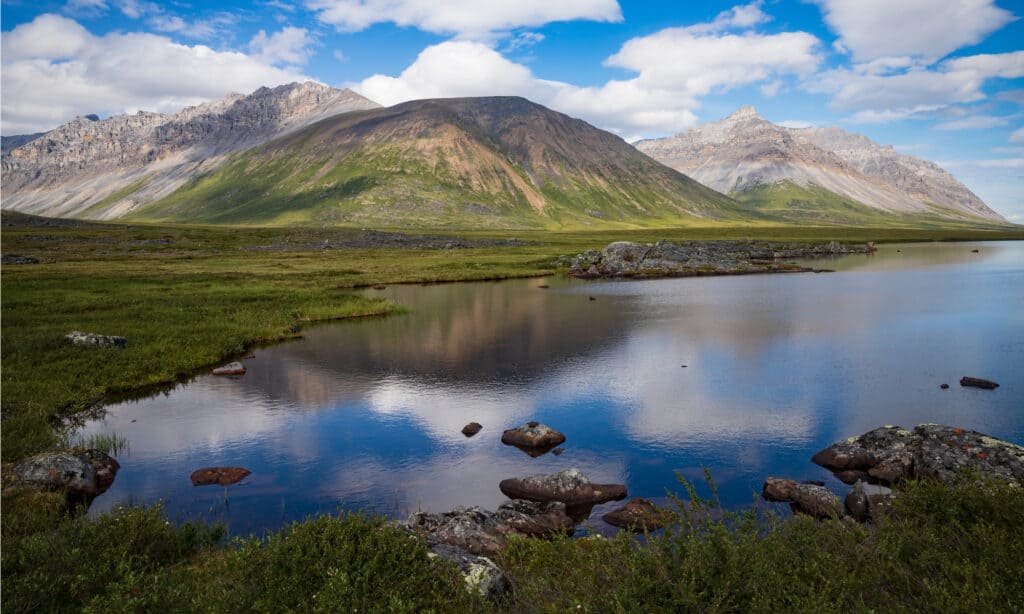 Gates of the Arctic National Park and Preserve