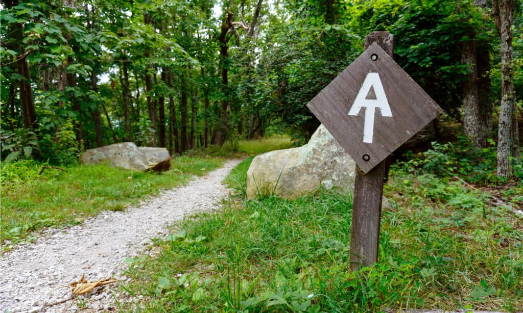 The Longest Hiking Trail in the United States