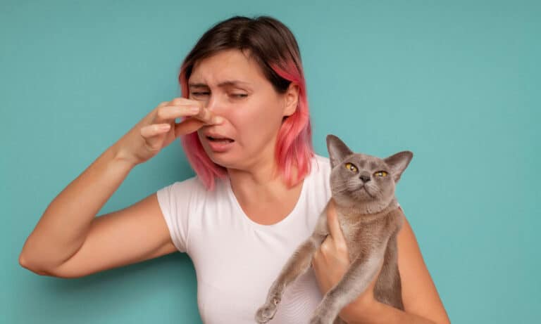 bad smell Farts