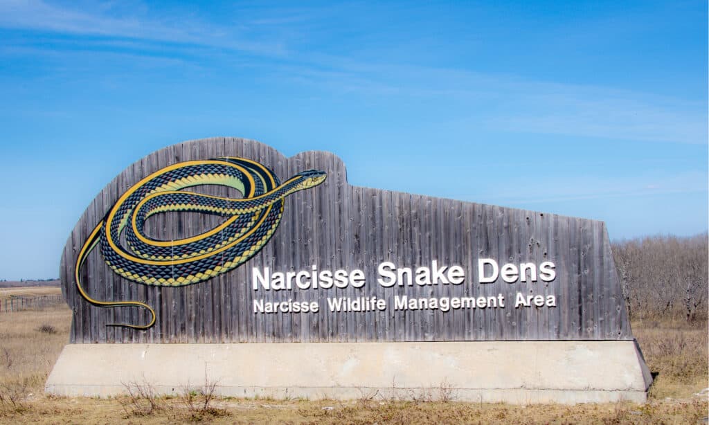 Narcisse Snake Dens Entry Sign 