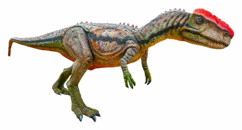 Monolophosaurus dinosaur