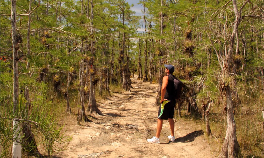 Big Cypress National Preserve