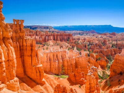 A Discover the 8 Best National Parks in Utah