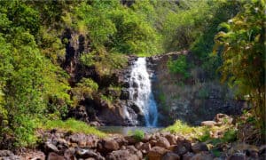 10 Amazing Waterfalls in Oahu Picture