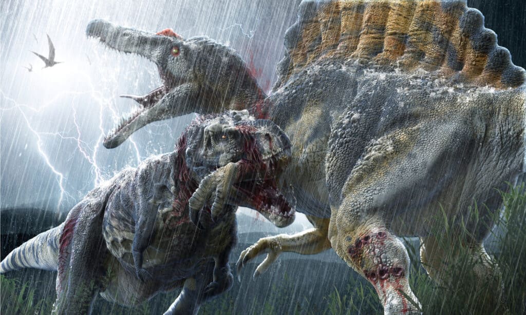Spinosaurus vs Tyrannosaurus rex