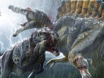 A Meet the Spinosaurus – One of The Largest Carnivorous Dinosaur in History (Bigger than a T-Rex!)