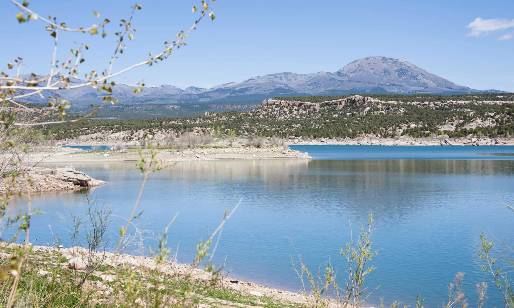 The 10 Most Snake Infested Lakes In The United States - AZ Animals