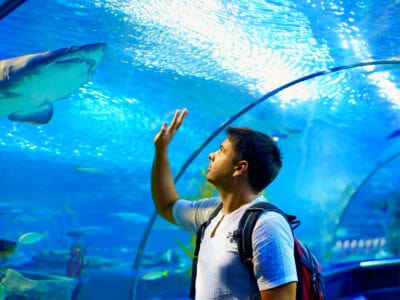 A The Best Aquarium in Myrtle Beach South Carolina