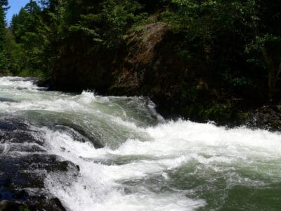 A What’s in the Salmon River and Is It Safe to Swim In? 