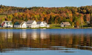Discover the 9 Best National and State Parks in Vermont Picture
