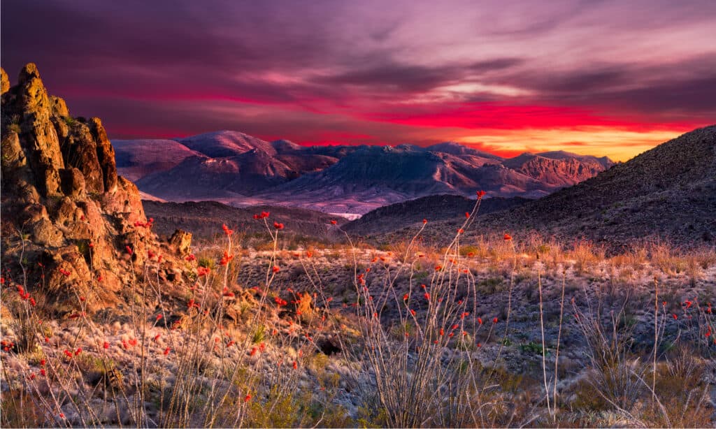 Big Bend National Park