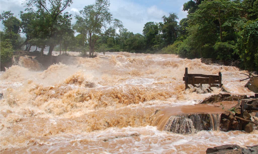 Konpapeng flood