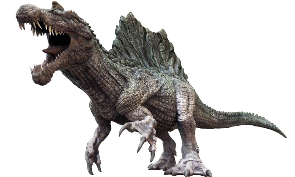 Giganotosaurus vs Spinosaurus