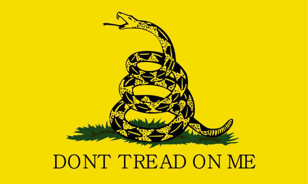 Don't Tread on Me Flag