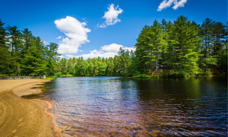 Bear Brook State park