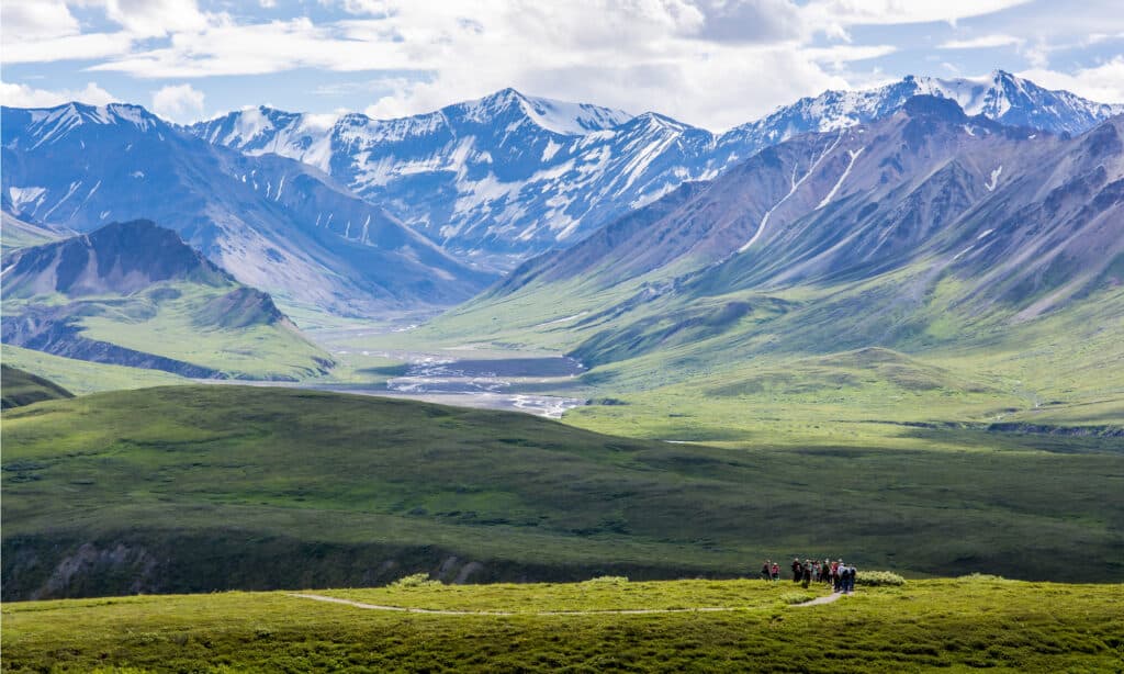 Denali National Park and Preserve, Alaska, United States