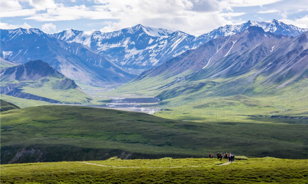 Denali National Park and Preserve