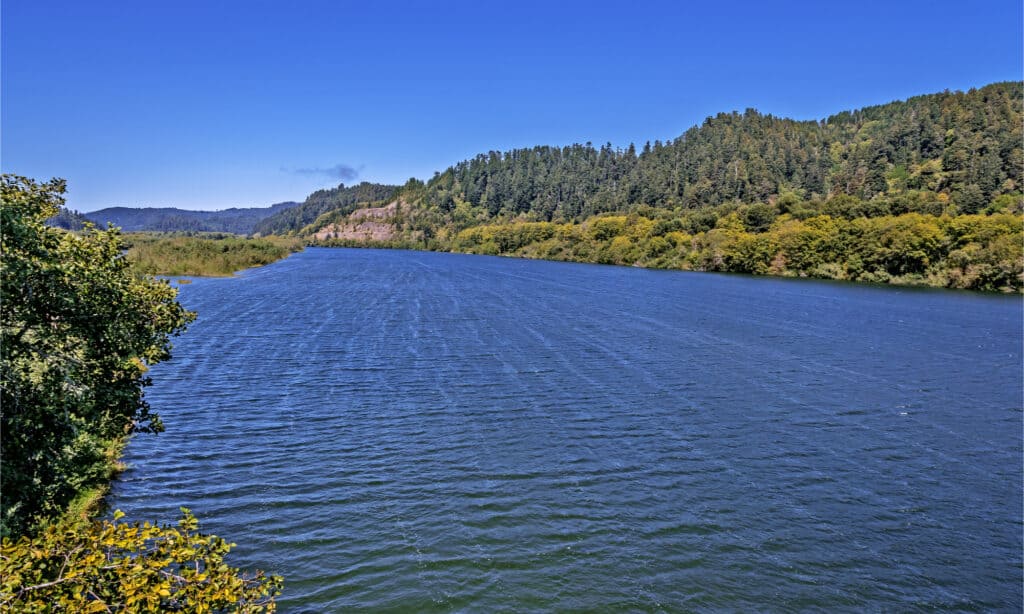 The rivers in Northern California are dangerous because they are cold and unpredictable.