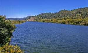 What’s in the Klamath River and Is It Safe to Swim In? Picture
