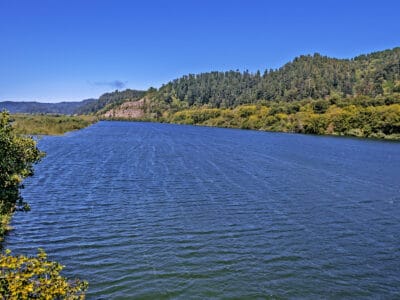A What’s in the Klamath River and Is It Safe to Swim In?