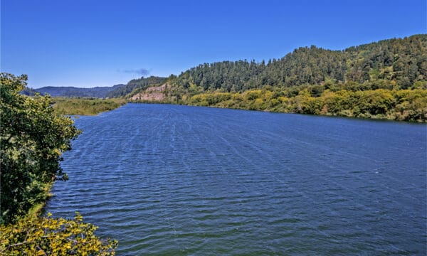 How Dangerous Are Northern California Rivers AZ Animals