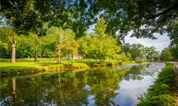 Discover the 8 Best National Parks in Maryland - A-Z Animals