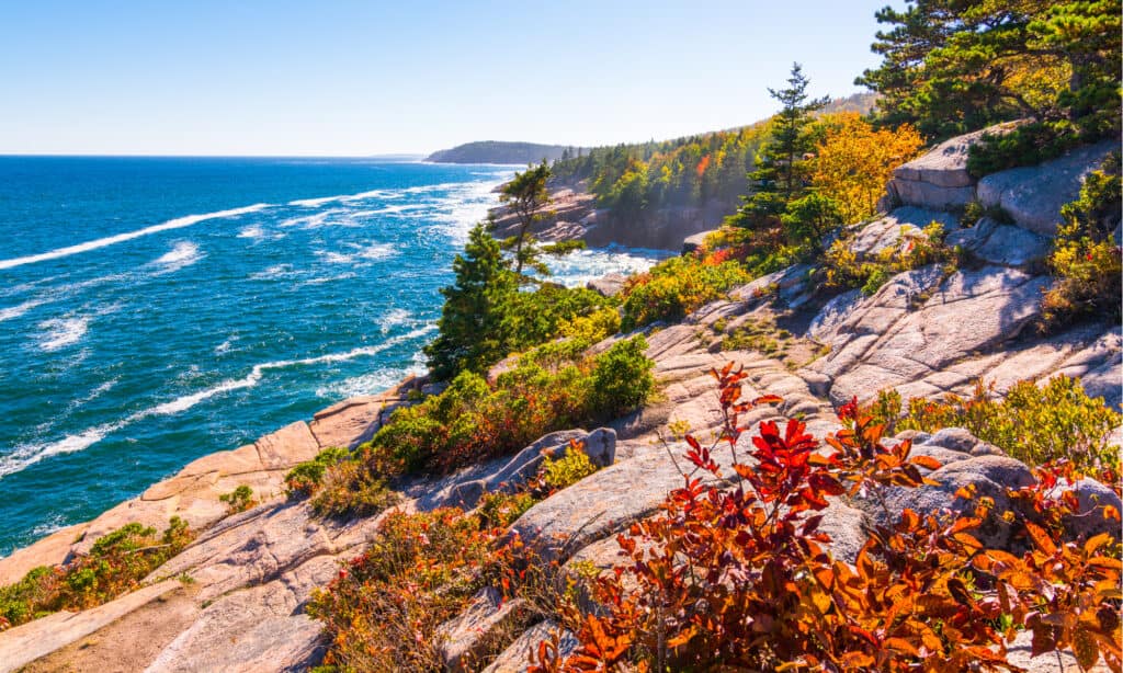 Best spots for leaf peeping in Maine - Acadia National Park