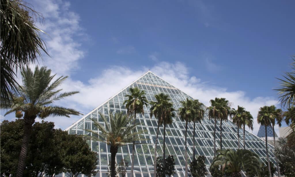 Moody Gardens Rain forest Pyramid