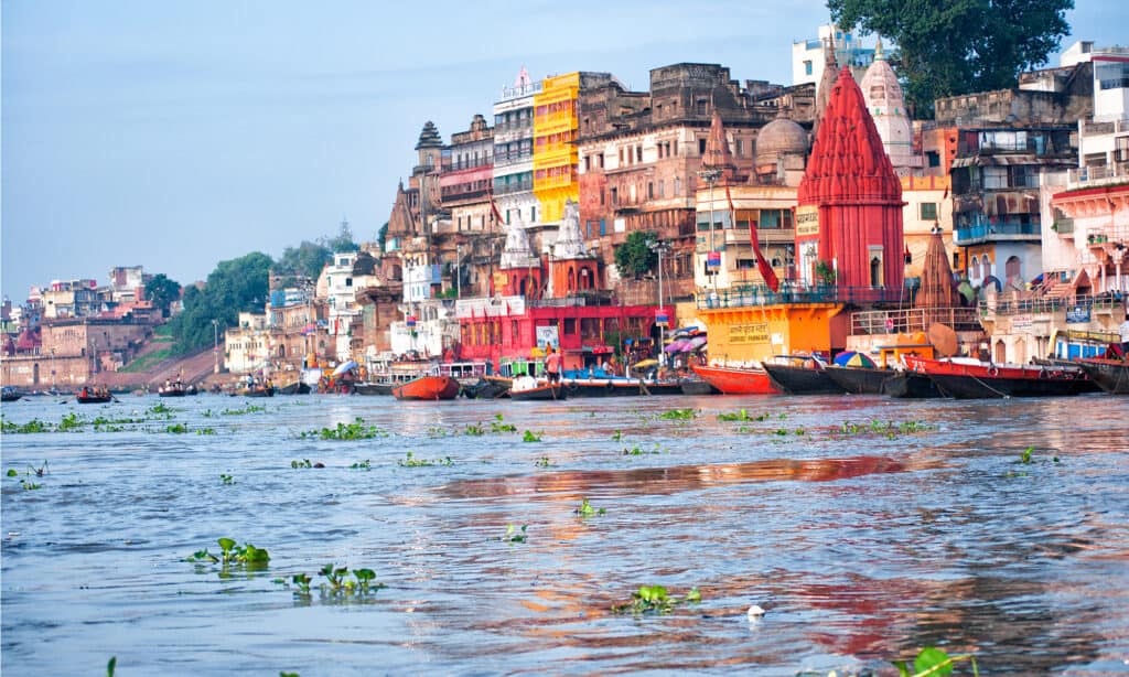 Ganges river