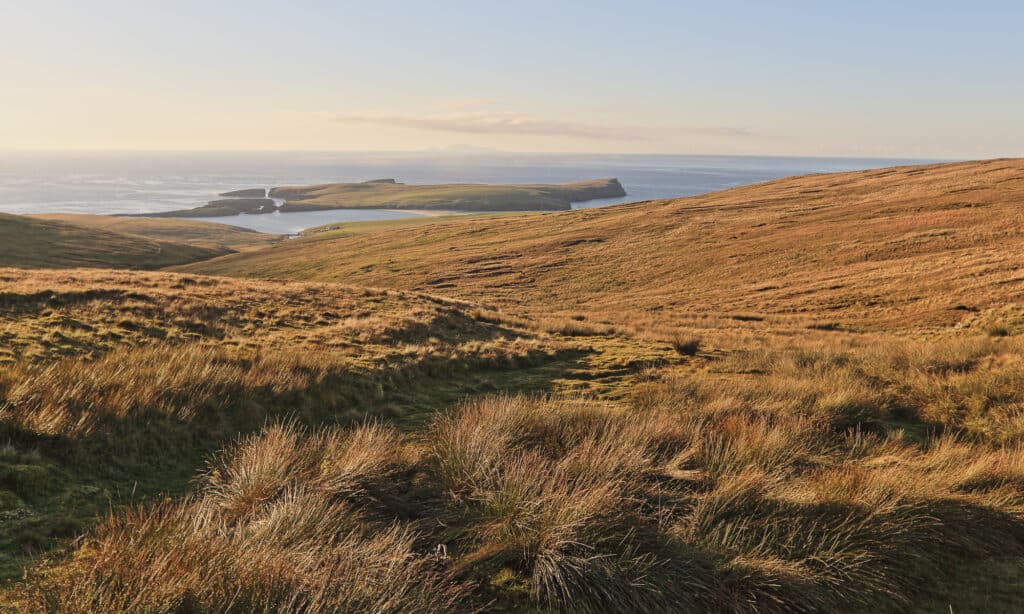 Foula Island