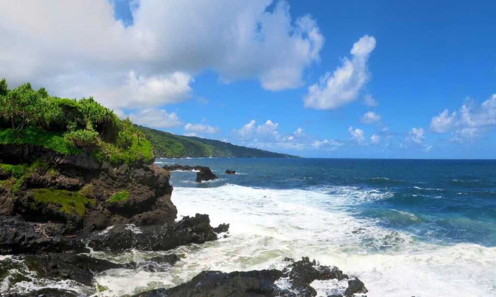 9 Maui Beaches with the Most Shark Attacks