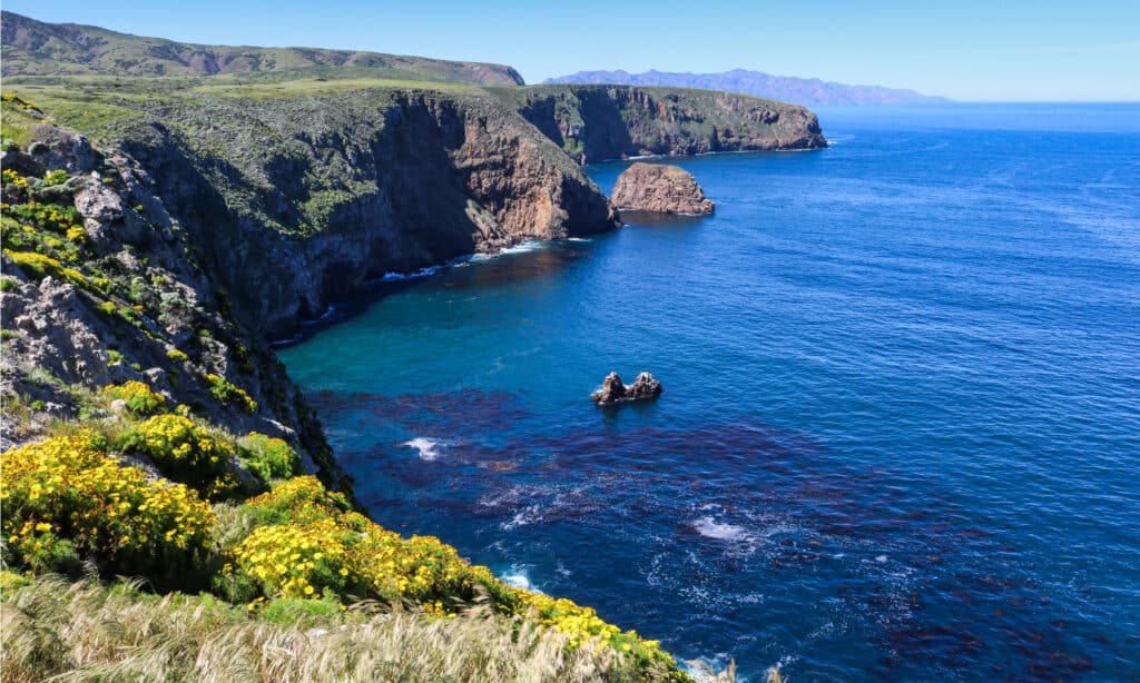 Channel Islands National Park