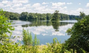 Discover the Oldest Man-Made Lake in Alabama Picture