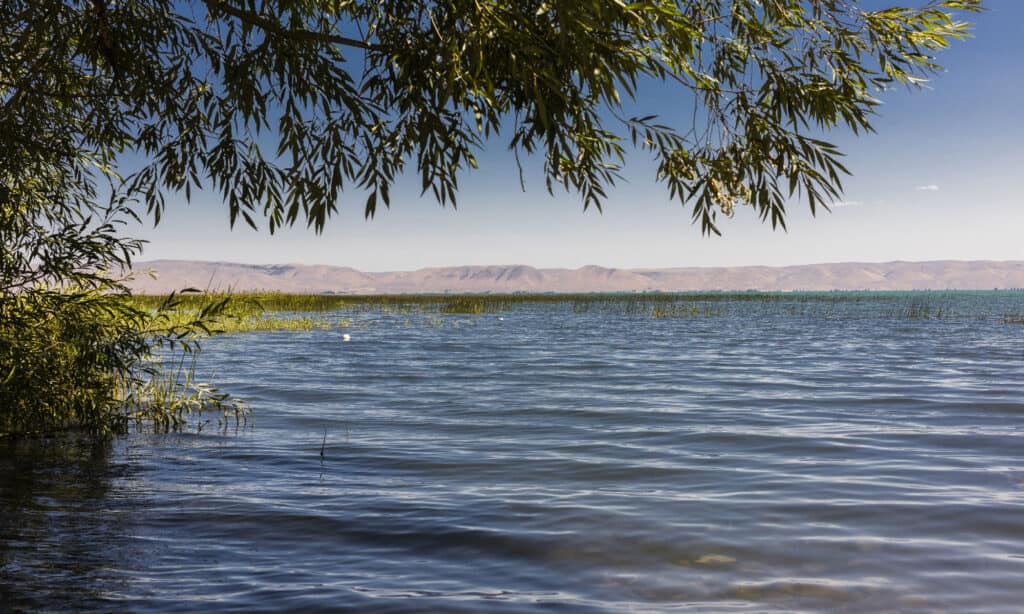 A picture of the tranquil lake at Bourbon County State Lake surrounded by lush, green trees. 