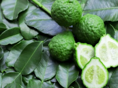A Is Lime A Fruit Or Vegetable? Here’s Why